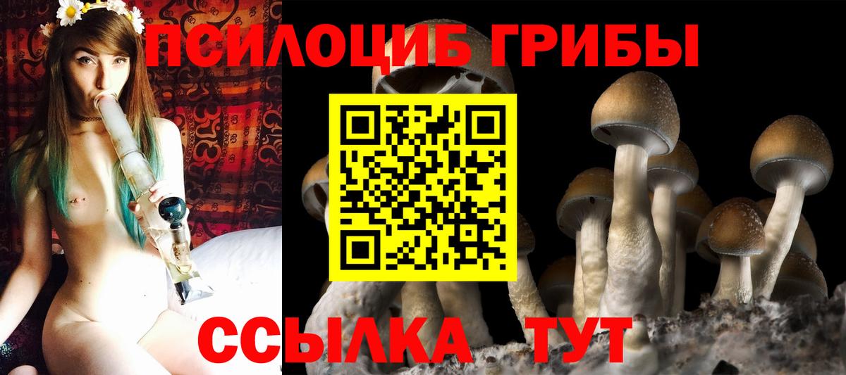 Оренбург  купить   Вход с VPN  Псилоцибиновые грибы мицелий 